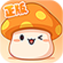 枫之传说小册子